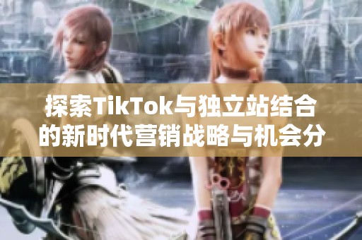 探索TikTok与独立站结合的新时代营销战略与机会分析