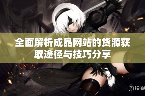 全面解析成品网站的货源获取途径与技巧分享