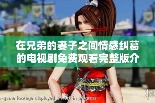 在兄弟的妻子之间情感纠葛的电视剧免费观看完整版介绍