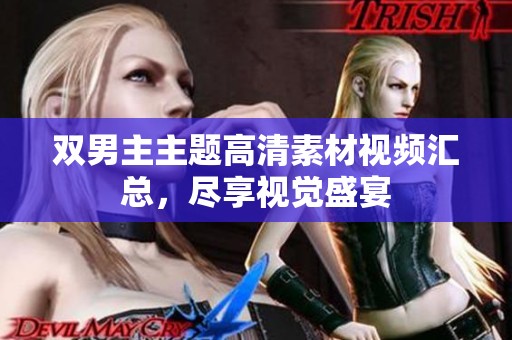 双男主主题高清素材视频汇总，尽享视觉盛宴
