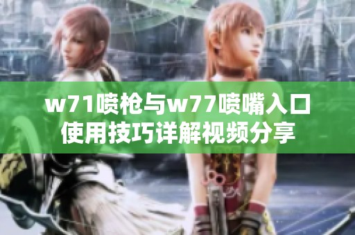 w71喷枪与w77喷嘴入口使用技巧详解视频分享