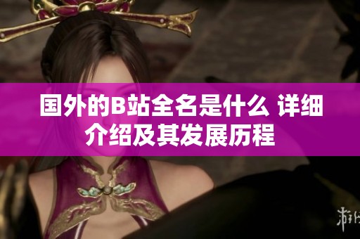 国外的B站全名是什么 详细介绍及其发展历程