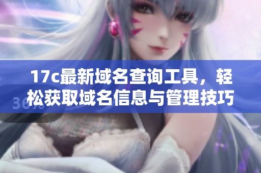 17c最新域名查询工具，轻松获取域名信息与管理技巧