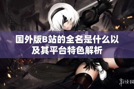 国外版B站的全名是什么以及其平台特色解析
