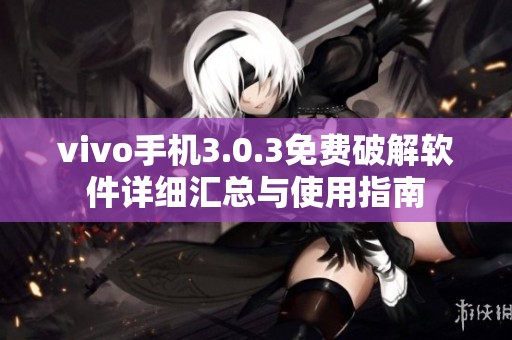 vivo手机3.0.3免费破解软件详细汇总与使用指南