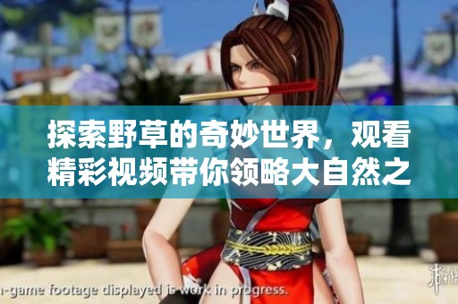 探索野草的奇妙世界，观看精彩视频带你领略大自然之美