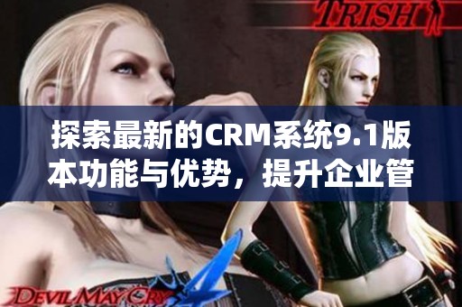 探索最新的CRM系统9.1版本功能与优势，提升企业管理效率