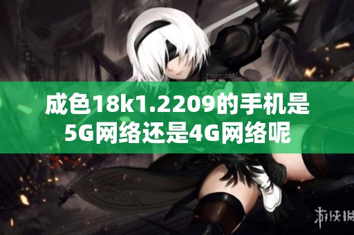 成色18k1.2209的手机是5G网络还是4G网络呢