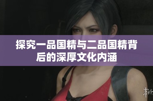 探究一品国精与二品国精背后的深厚文化内涵