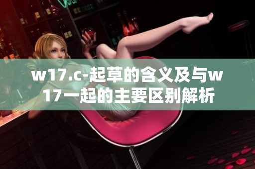w17.c-起草的含义及与w17一起的主要区别解析