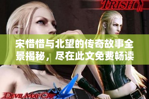宋惜惜与北望的传奇故事全景揭秘，尽在此文免费畅读