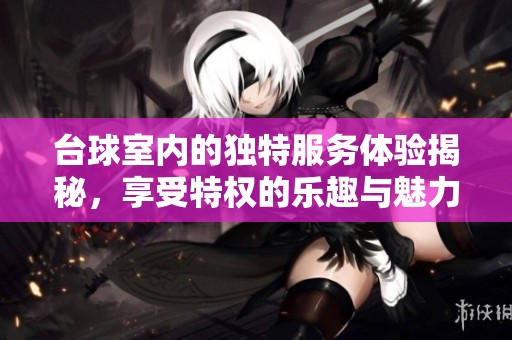 台球室内的独特服务体验揭秘，享受特权的乐趣与魅力