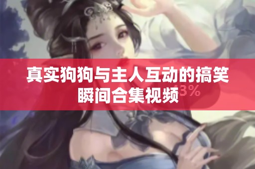 真实狗狗与主人互动的搞笑瞬间合集视频