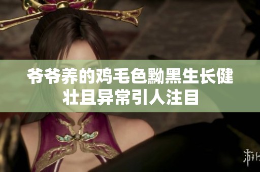 爷爷养的鸡毛色黝黑生长健壮且异常引人注目