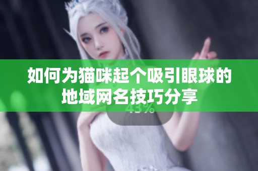 如何为猫咪起个吸引眼球的地域网名技巧分享