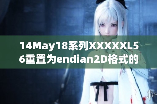 14May18系列XXXXXL56重置为endian2D格式的全面分析与解读