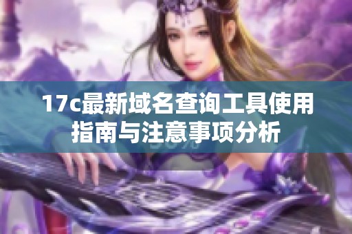 17c最新域名查询工具使用指南与注意事项分析