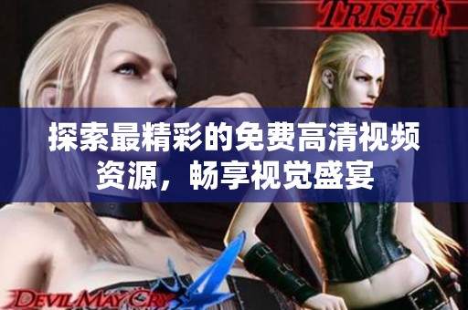 探索最精彩的免费高清视频资源，畅享视觉盛宴