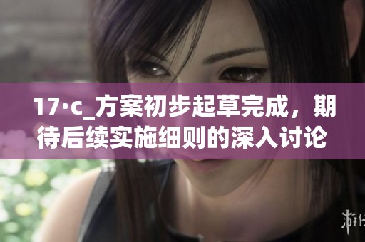 17·c_方案初步起草完成，期待后续实施细则的深入讨论与完善