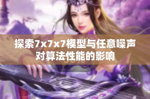 探索7x7x7模型与任意噪声对算法性能的影响