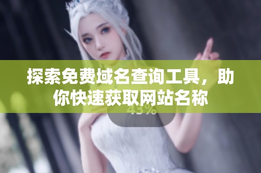 探索免费域名查询工具，助你快速获取网站名称