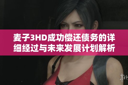 麦子3HD成功偿还债务的详细经过与未来发展计划解析