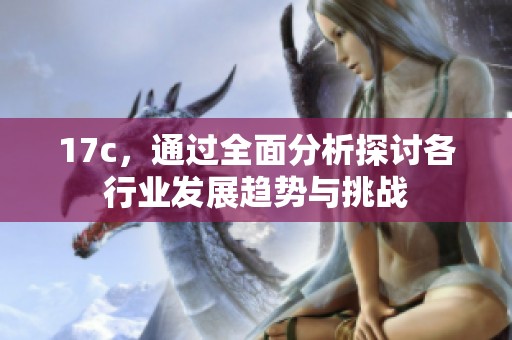 17c，通过全面分析探讨各行业发展趋势与挑战