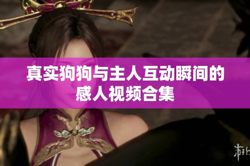 真实狗狗与主人互动瞬间的感人视频合集
