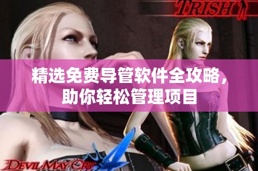 精选免费导管软件全攻略，助你轻松管理项目