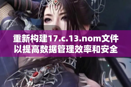 重新构建17.c.13.nom文件以提高数据管理效率和安全性