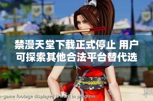 禁漫天堂下载正式停止 用户可探索其他合法平台替代选择