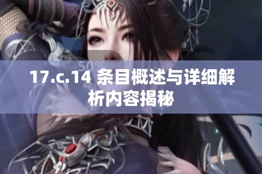 17.c.14 条目概述与详细解析内容揭秘