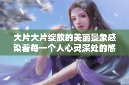 大片大片绽放的美丽景象感染着每一个人心灵深处的感动