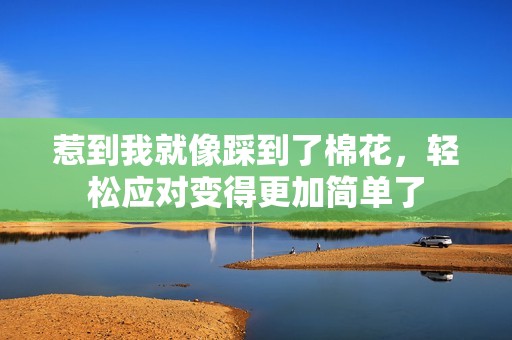 惹到我就像踩到了棉花，轻松应对变得更加简单了