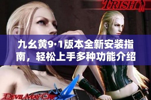九幺黄9·1版本全新安装指南，轻松上手多种功能介绍