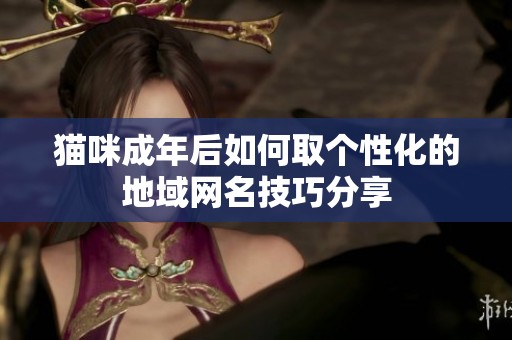 猫咪成年后如何取个性化的地域网名技巧分享