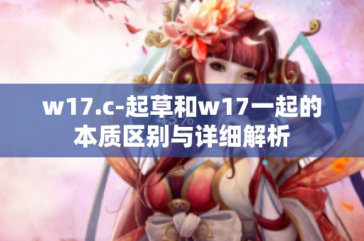w17.c-起草和w17一起的本质区别与详细解析