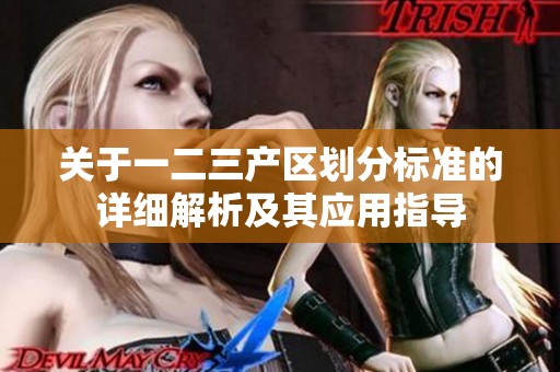 关于一二三产区划分标准的详细解析及其应用指导