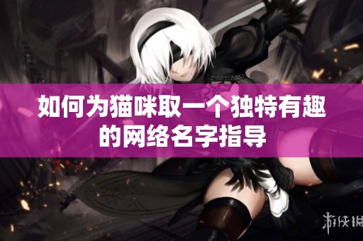 如何为猫咪取一个独特有趣的网络名字指导