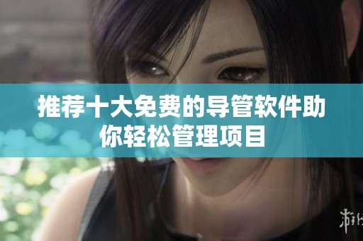 推荐十大免费的导管软件助你轻松管理项目