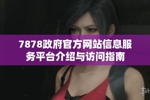 7878政府官方网站信息服务平台介绍与访问指南