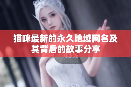 猫咪最新的永久地域网名及其背后的故事分享