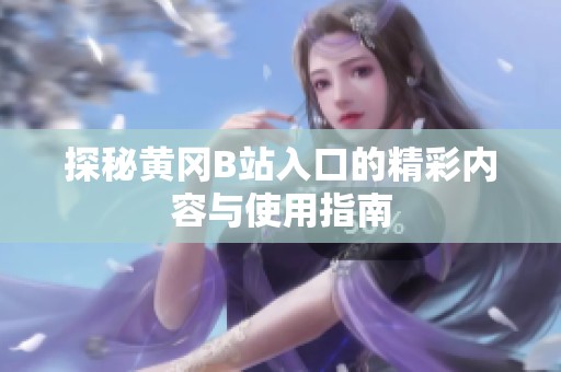 探秘黄冈B站入口的精彩内容与使用指南