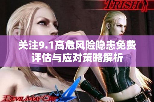 关注9.1高危风险隐患免费评估与应对策略解析