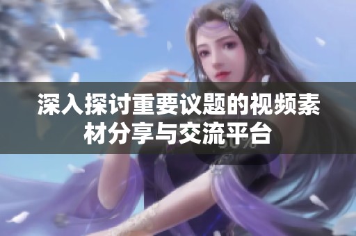 深入探讨重要议题的视频素材分享与交流平台