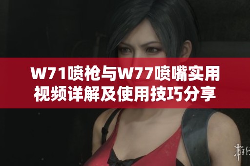 W71喷枪与W77喷嘴实用视频详解及使用技巧分享