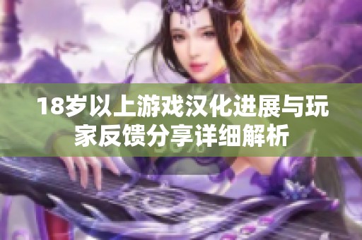 18岁以上游戏汉化进展与玩家反馈分享详细解析