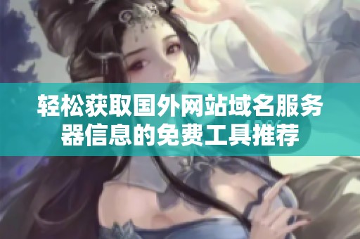轻松获取国外网站域名服务器信息的免费工具推荐