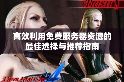 高效利用免费服务器资源的最佳选择与推荐指南