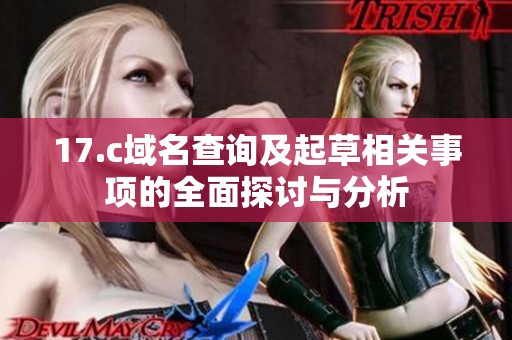 17.c域名查询及起草相关事项的全面探讨与分析